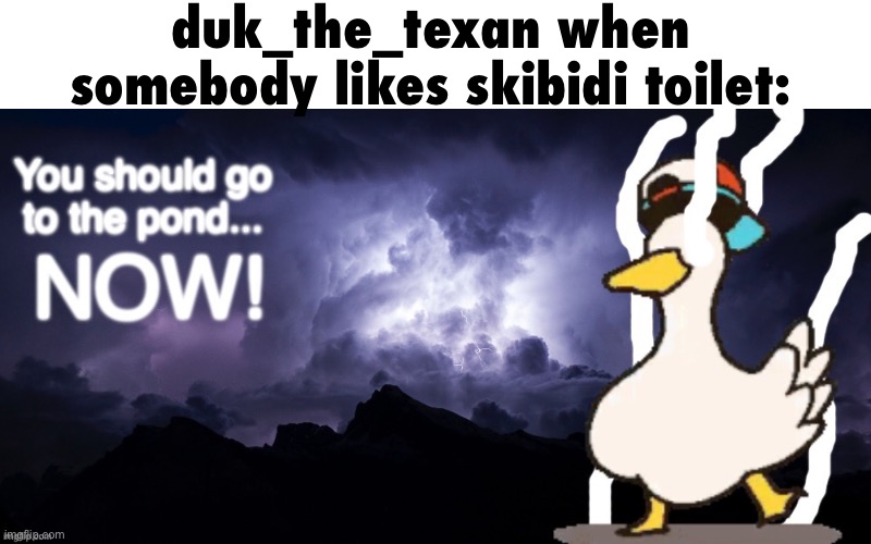 LowTierDuck | duk_the_texan when somebody likes skibidi toilet: | image tagged in lowtierduck | made w/ Imgflip meme maker