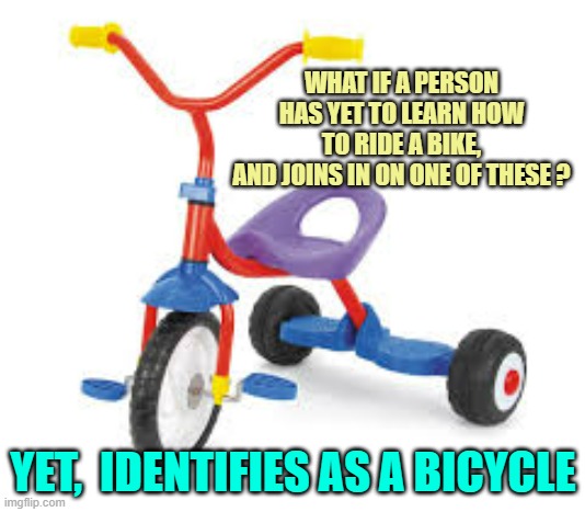 childrens tricycle  | WHAT IF A PERSON HAS YET TO LEARN HOW
TO RIDE A BIKE,
AND JOINS IN ON ONE OF THESE ? YET,  IDENTIFIES AS A BICYCLE | image tagged in childrens tricycle | made w/ Imgflip meme maker