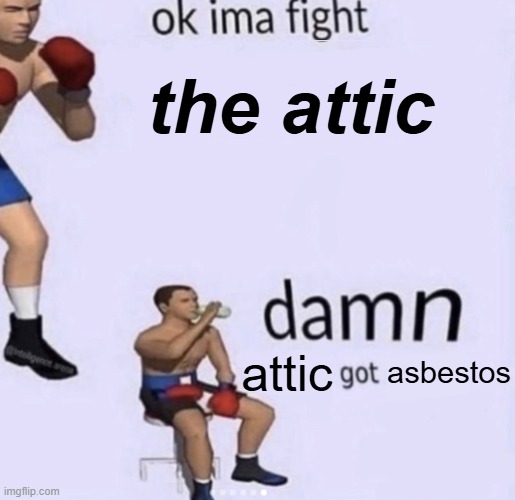 damn got hands | the attic; attic; asbestos | image tagged in damn got hands | made w/ Imgflip meme maker