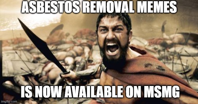 quality asbestos removal memes right here | ASBESTOS REMOVAL MEMES; IS NOW AVAILABLE ON MSMG | image tagged in memes,sparta leonidas | made w/ Imgflip meme maker