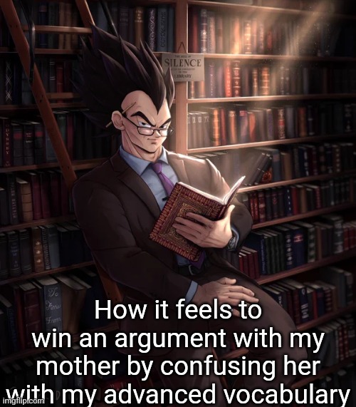 Librarian Vegeta | How it feels to win an argument with my mother by confusing her with my advanced vocabulary | image tagged in librarian vegeta | made w/ Imgflip meme maker