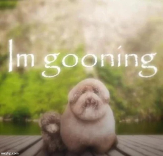 im gooning | image tagged in im gooning | made w/ Imgflip meme maker