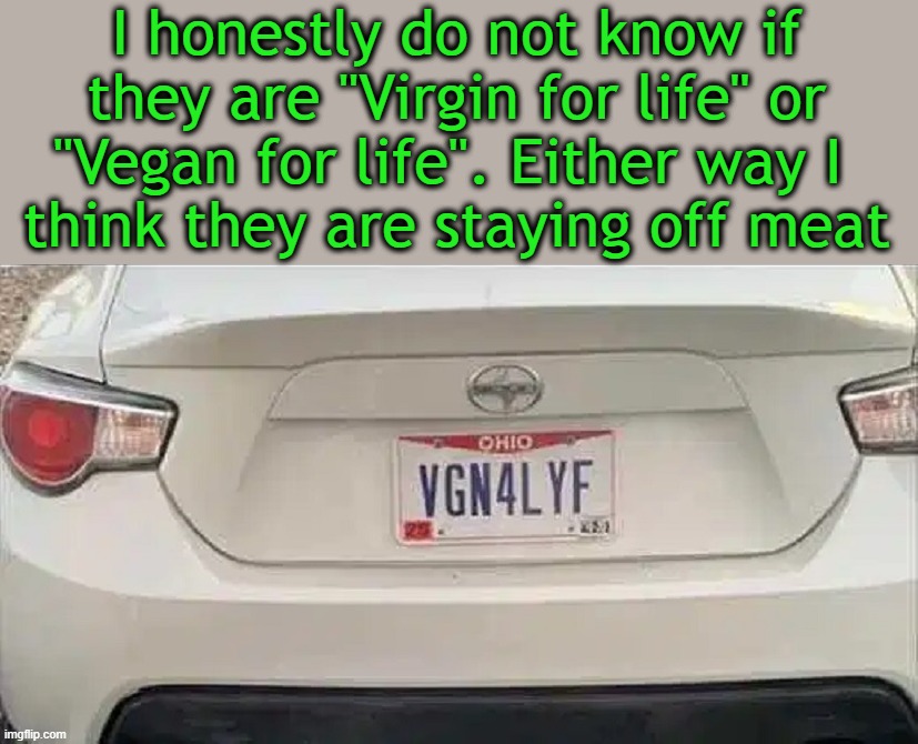 What does it say | I honestly do not know if they are "Virgin for life" or "Vegan for life". Either way I 
think they are staying off meat | image tagged in license plate | made w/ Imgflip meme maker