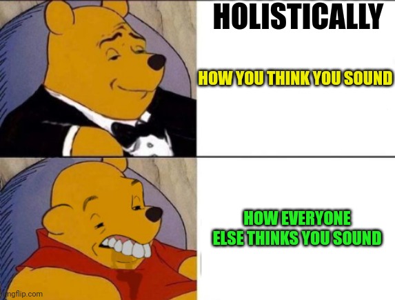 Classy and dumb pooh | HOW YOU THINK YOU SOUND HOW EVERYONE ELSE THINKS YOU SOUND HOLISTICALLY | image tagged in classy and dumb pooh | made w/ Imgflip meme maker