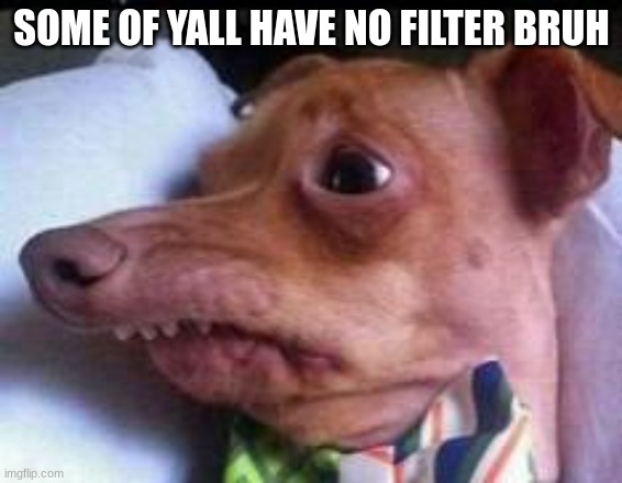 lisp dog | SOME OF YALL HAVE NO FILTER BRUH | image tagged in lisp dog | made w/ Imgflip meme maker