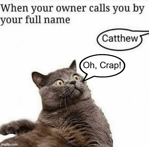 Oh, Crap! | image tagged in cats | made w/ Imgflip meme maker