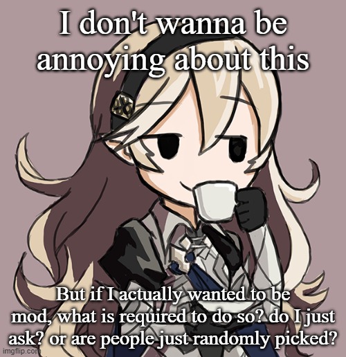 Corrin Being Smug While Drinking Tea | I don't wanna be annoying about this; But if I actually wanted to be mod, what is required to do so? do I just ask? or are people just randomly picked? | image tagged in corrin being smug while drinking tea | made w/ Imgflip meme maker
