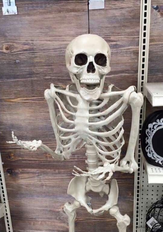 High Quality Skeleton Blank Meme Template