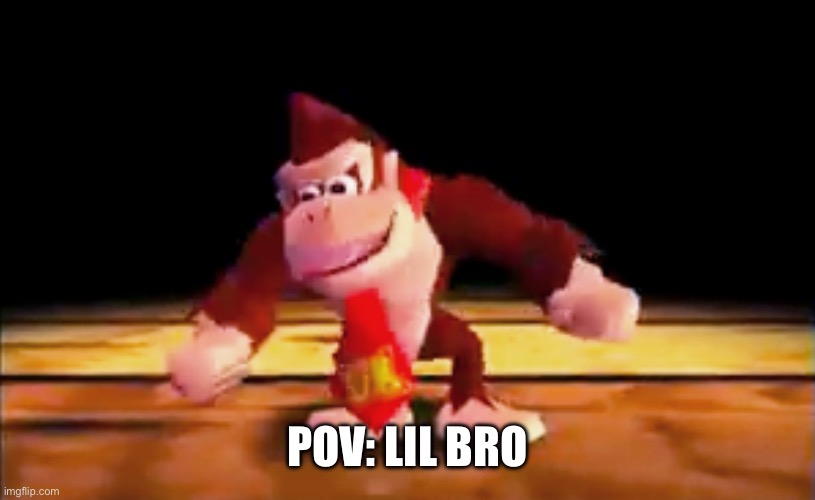 POV: LIL BRO | image tagged in dk rap | made w/ Imgflip meme maker