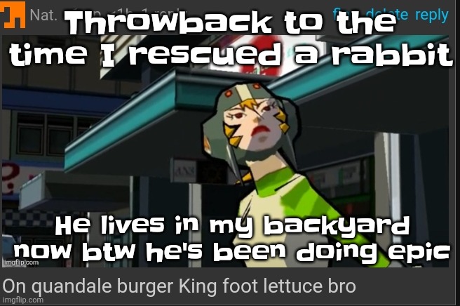 I named him bugs (I'm actually not sure if he's a guy or a gal) | Throwback to the time I rescued a rabbit; He lives in my backyard now btw he's been doing epic | image tagged in on quandale burger king foot lettuce bro | made w/ Imgflip meme maker