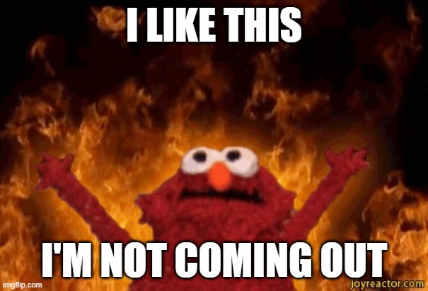 Elmo In Hell | I LIKE THIS; I'M NOT COMING OUT | image tagged in elmo in hell,elmo on fire,weird stuff i do potoo | made w/ Imgflip meme maker