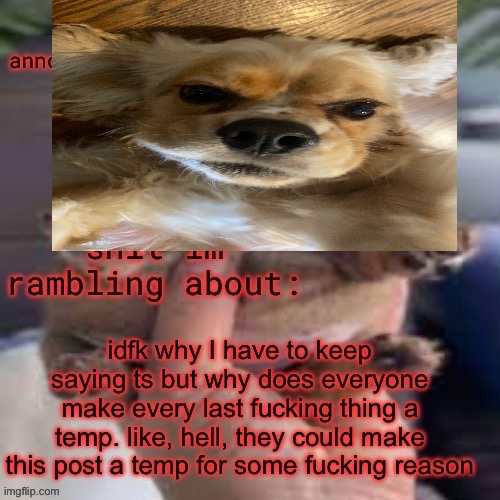 toad's weeny little rage thingy temp | image tagged in toad's weeny little rage thingy temp | made w/ Imgflip meme maker