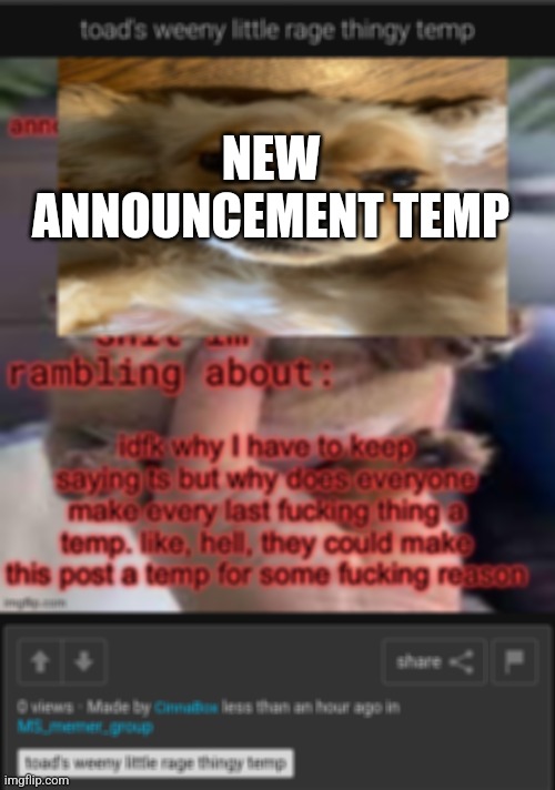 temp | NEW ANNOUNCEMENT TEMP | image tagged in temp | made w/ Imgflip meme maker