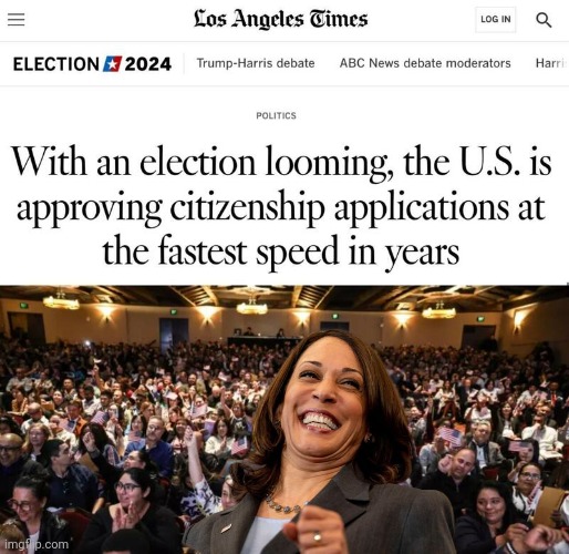 Demorhhoids Replacement Theory in Action | image tagged in illegals,kamala harris | made w/ Imgflip meme maker