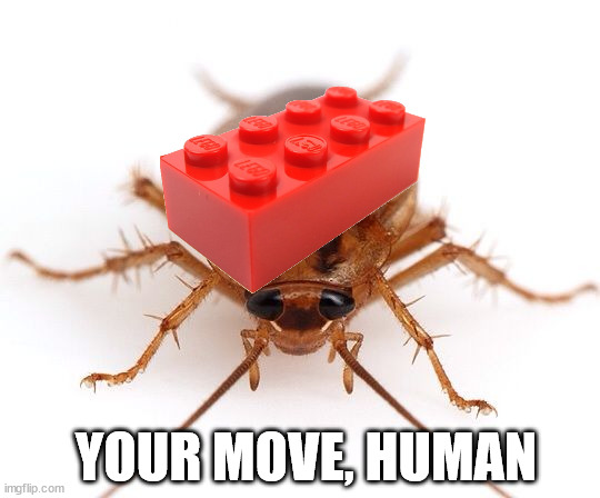 Roach | YOUR MOVE, HUMAN | image tagged in roach | made w/ Imgflip meme maker