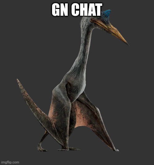 Quetzalcoatlus | GN CHAT | image tagged in quetzalcoatlus | made w/ Imgflip meme maker