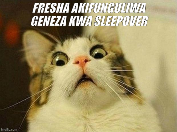 Scared Cat | FRESHA AKIFUNGULIWA GENEZA KWA SLEEPOVER | image tagged in memes,scared cat | made w/ Imgflip meme maker