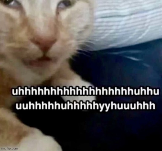 kitty :3 | made w/ Imgflip meme maker