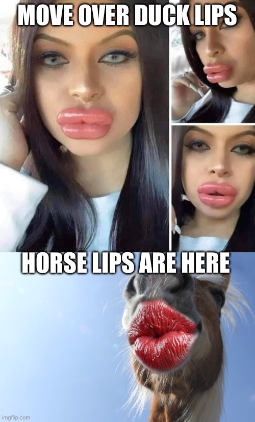 Duck lips | MOVE OVER DUCK LIPS; HORSE LIPS ARE HERE | image tagged in duck lips,horse,lips | made w/ Imgflip meme maker