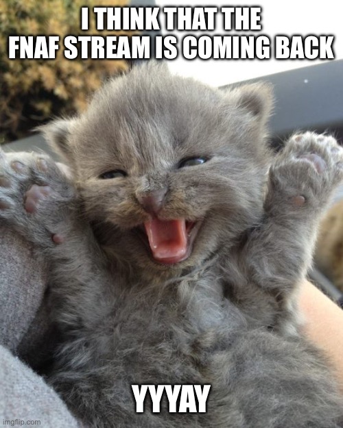 Yay Kitty | I THINK THAT THE FNAF STREAM IS COMING BACK; YYYAY | image tagged in yay kitty | made w/ Imgflip meme maker