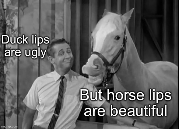 Mr Ed Speaks | Duck lips are ugly But horse lips are beautiful | image tagged in mr ed speaks | made w/ Imgflip meme maker