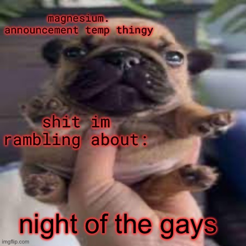 pug temp | night of the gays | image tagged in pug temp | made w/ Imgflip meme maker
