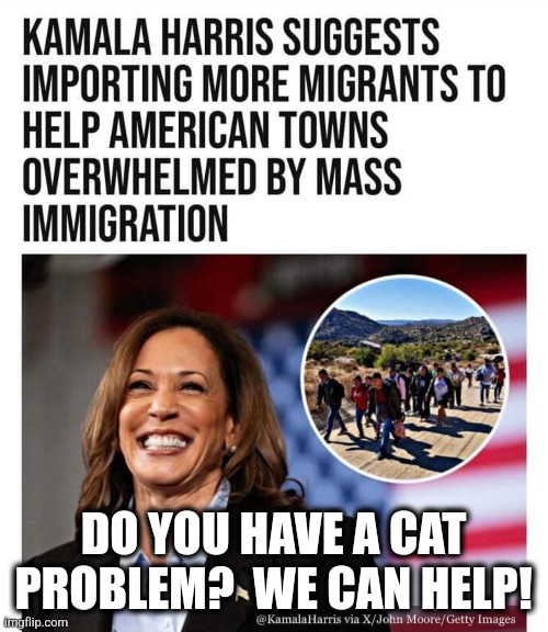 Third World Problems require Third World Solutions... | DO YOU HAVE A CAT PROBLEM?  WE CAN HELP! | image tagged in memes,politics,democrats,republicans,kamala harris,trending | made w/ Imgflip meme maker