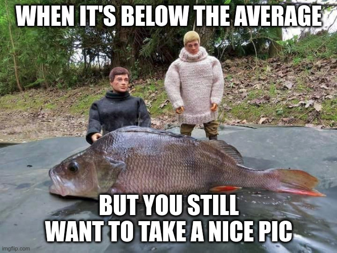 dicpic | WHEN IT'S BELOW THE AVERAGE; BUT YOU STILL WANT TO TAKE A NICE PIC | image tagged in average,sexting,chat,text messages,texting | made w/ Imgflip meme maker