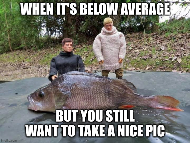 dicpic | WHEN IT'S BELOW AVERAGE; BUT YOU STILL WANT TO TAKE A NICE PIC | image tagged in texting,sexting,average,chat,fake | made w/ Imgflip meme maker