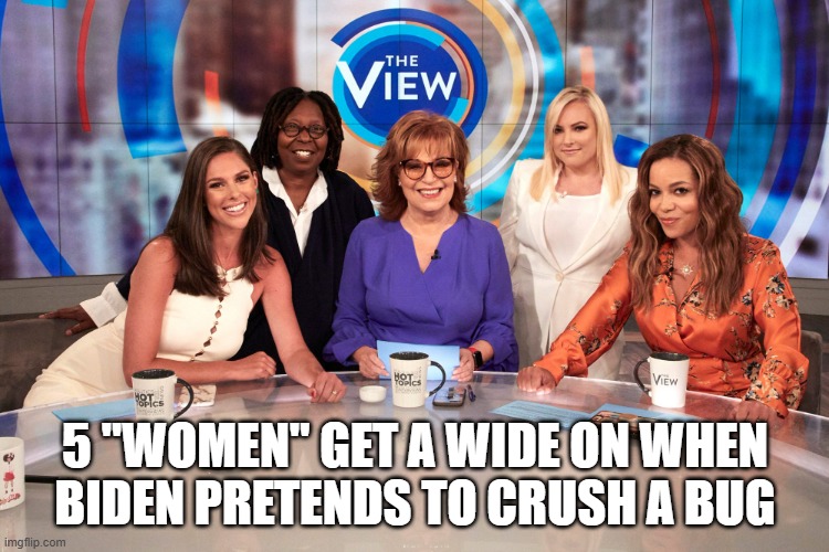 The View | 5 "WOMEN" GET A WIDE ON WHEN BIDEN PRETENDS TO CRUSH A BUG | image tagged in the view | made w/ Imgflip meme maker