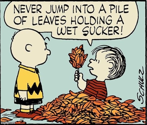 A very classic piece of wisdom from Linus | image tagged in peanuts,autumn,leaves,autumn leaves,sucker,wet | made w/ Imgflip meme maker