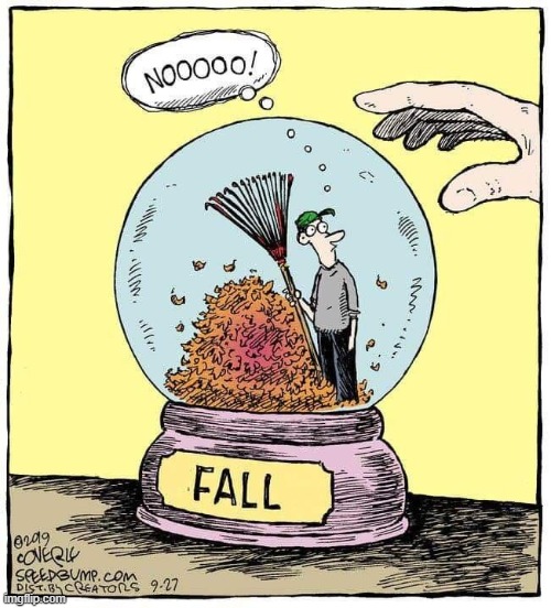 image tagged in snowglobe,fall,autumn,leaves,autumn leaves,noooooooooooooooooooooooo | made w/ Imgflip meme maker