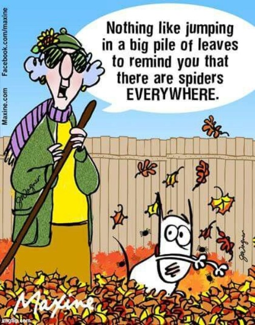 Happy Autumn, everybody! | image tagged in autumn,leaves,autumn leaves,jump,spiders,yikes | made w/ Imgflip meme maker