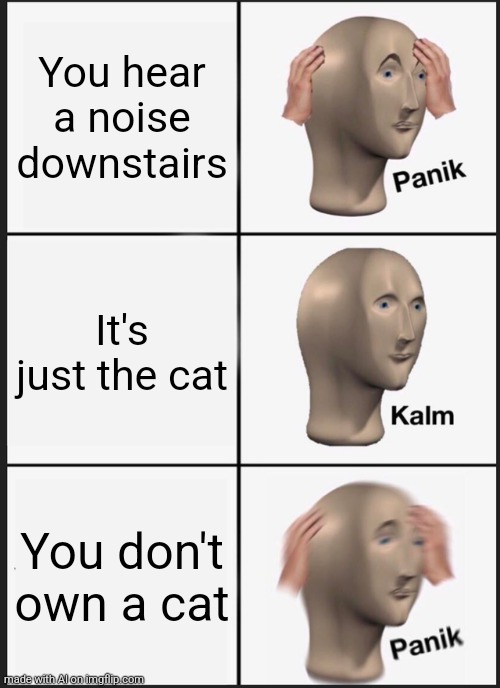 Panik Kalm Panik | You hear a noise downstairs; It's just the cat; You don't own a cat | image tagged in memes,panik kalm panik | made w/ Imgflip meme maker