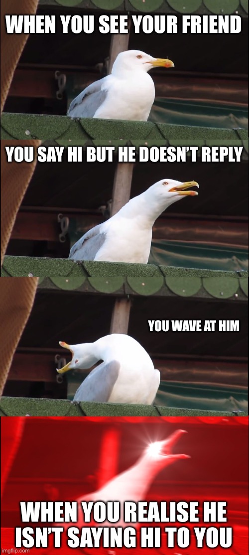 Inhaling Seagull | WHEN YOU SEE YOUR FRIEND; YOU SAY HI BUT HE DOESN’T REPLY; YOU WAVE AT HIM; WHEN YOU REALISE HE ISN’T SAYING HI TO YOU | image tagged in memes,inhaling seagull | made w/ Imgflip meme maker