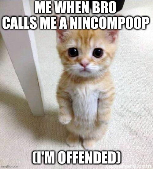 almost crashed out | ME WHEN BRO CALLS ME A NINCOMPOOP; (I'M OFFENDED) | image tagged in memes | made w/ Imgflip meme maker