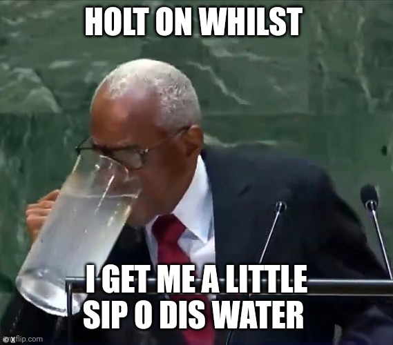 haitian UN meme | HOLT ON WHILST; I GET ME A LITTLE SIP O DIS WATER | image tagged in water | made w/ Imgflip meme maker