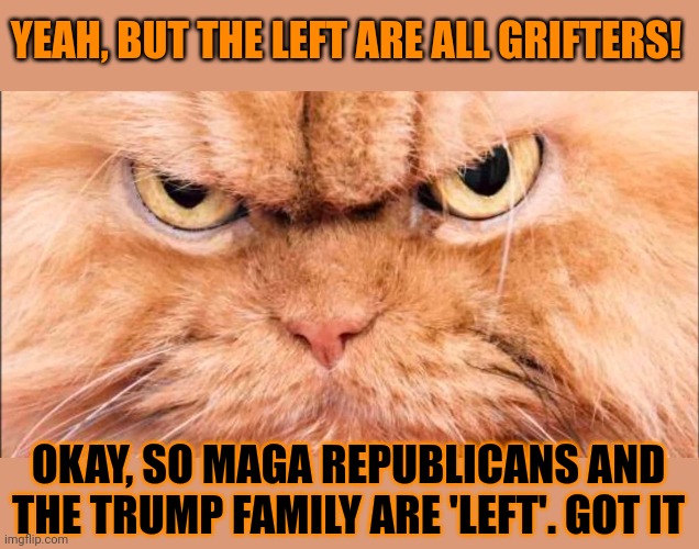 This #lolcat wonders why every accusation by the right is a confession | YEAH, BUT THE LEFT ARE ALL GRIFTERS! OKAY, SO MAGA REPUBLICANS AND THE TRUMP FAMILY ARE 'LEFT'. GOT IT | image tagged in republicans,stupid people,lolcat,grifters,trump | made w/ Imgflip meme maker