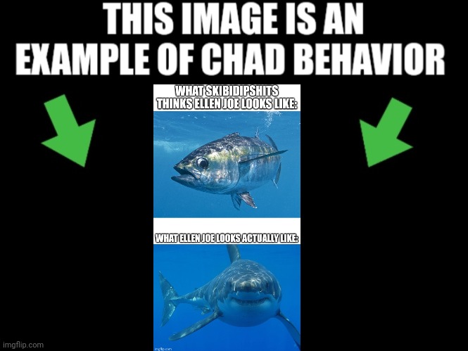 This image is an example of chad behavior dark mode | image tagged in this image is an example of chad behavior dark mode | made w/ Imgflip meme maker