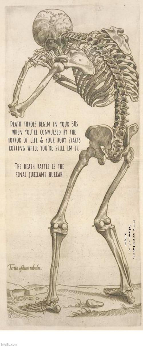 Yeh | image tagged in artmemes,skeleton,death,antinatalism,life,skull | made w/ Imgflip meme maker