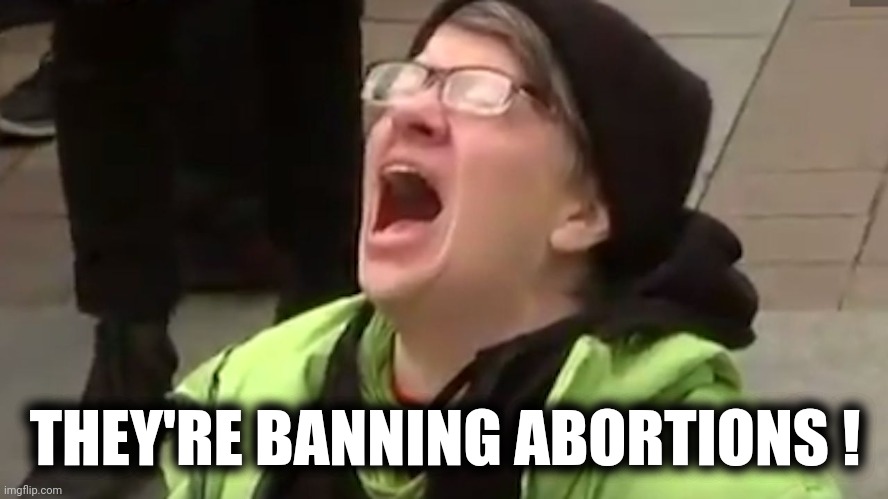 Screaming Liberal  | THEY'RE BANNING ABORTIONS ! | image tagged in screaming liberal | made w/ Imgflip meme maker