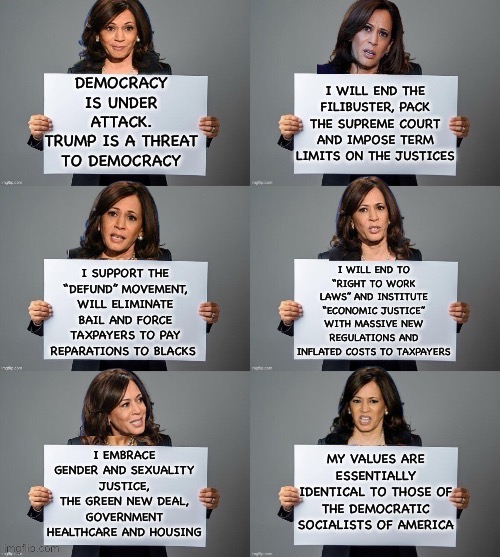 Democratic Socialist of America | I WILL END THE FILIBUSTER, PACK THE SUPREME COURT AND IMPOSE TERM LIMITS ON THE JUSTICES; DEMOCRACY IS UNDER ATTACK.
TRUMP IS A THREAT TO DEMOCRACY; I WILL END TO “RIGHT TO WORK LAWS” AND INSTITUTE “ECONOMIC JUSTICE” WITH MASSIVE NEW REGULATIONS AND INFLATED COSTS TO TAXPAYERS; I SUPPORT THE “DEFUND” MOVEMENT, WILL ELIMINATE BAIL AND FORCE TAXPAYERS TO PAY REPARATIONS TO BLACKS; I EMBRACE GENDER AND SEXUALITY JUSTICE, THE GREEN NEW DEAL, GOVERNMENT HEALTHCARE AND HOUSING; MY VALUES ARE ESSENTIALLY IDENTICAL TO THOSE OF THE DEMOCRATIC SOCIALISTS OF AMERICA | image tagged in kamala harris,socialism | made w/ Imgflip meme maker