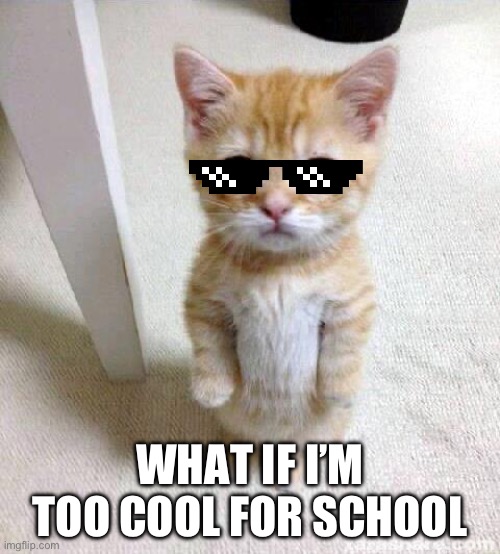 Cool cat | WHAT IF I’M TOO COOL FOR SCHOOL | image tagged in memes,cute cat,cool cat | made w/ Imgflip meme maker