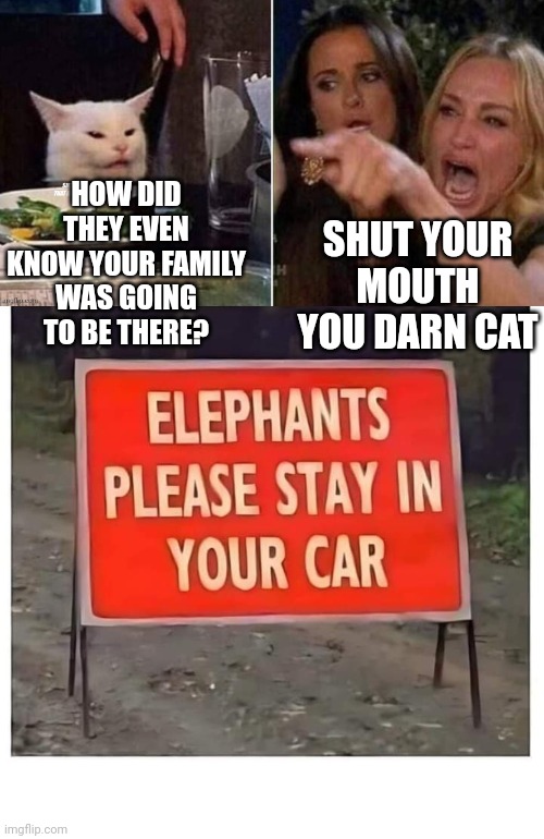 SHUT YOUR MOUTH YOU DARN CAT; HOW DID THEY EVEN KNOW YOUR FAMILY WAS GOING TO BE THERE? | image tagged in reverse smudge that darn cat | made w/ Imgflip meme maker