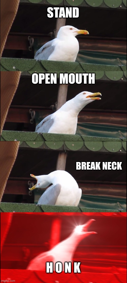 Inhaling Seagull | STAND; OPEN MOUTH; BREAK NECK; H O N K | image tagged in memes,inhaling seagull | made w/ Imgflip meme maker