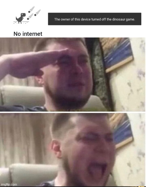 Nooooooooooooooooooooooooooo | image tagged in crying salute | made w/ Imgflip meme maker