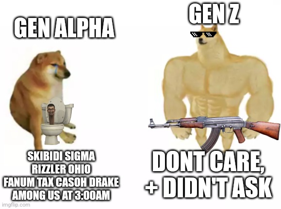 Don't care about Gen alpha language, + nobody asked for it | GEN Z; GEN ALPHA; SKIBIDI SIGMA RIZZLER OHIO FANUM TAX CASOH DRAKE AMONG US AT 3:00AM; DONT CARE, + DIDN'T ASK | image tagged in buff doge vs cheems,gen alpha,gen z | made w/ Imgflip meme maker