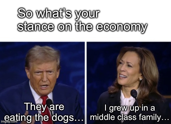 2024 Presidential Debate Harris Confused | So what’s your stance on the economy; They are eating the dogs…; I grew up in a middle class family… | image tagged in 2024 presidential debate harris confused | made w/ Imgflip meme maker