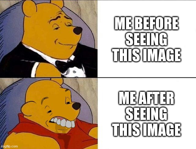 Tuxedo Winnie the Pooh grossed reverse | ME BEFORE SEEING THIS IMAGE; ME AFTER SEEING THIS IMAGE | image tagged in tuxedo winnie the pooh grossed reverse | made w/ Imgflip meme maker