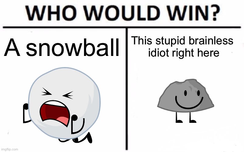 Who Would Win? Meme | A snowball; This stupid brainless 
idiot right here | image tagged in memes,who would win,bfdi,vinny x theyesninja,idk x shadow,oh wow are you actually reading these tags | made w/ Imgflip meme maker